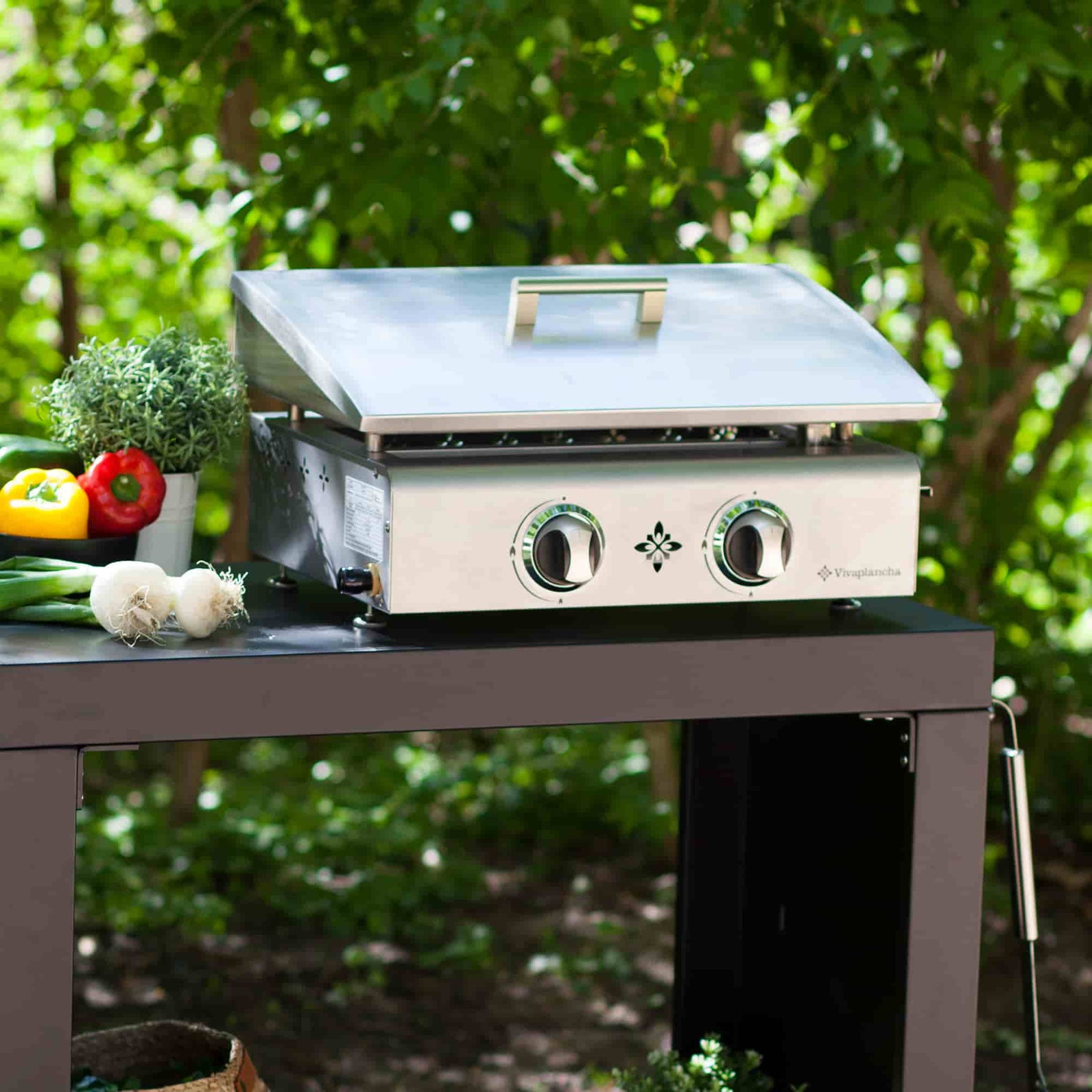 Plancha inox à deux brûleurs avec couvercle relevé, posée sur un chariot noir en extérieur, entourée de légumes frais et d’un décor végétal.