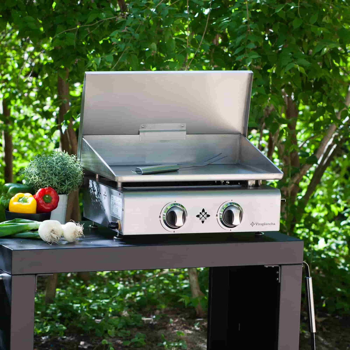 Plancha inox à deux brûleurs avec couvercle relevé, installée sur un chariot noir en extérieur, entourée de légumes frais et de verdure.