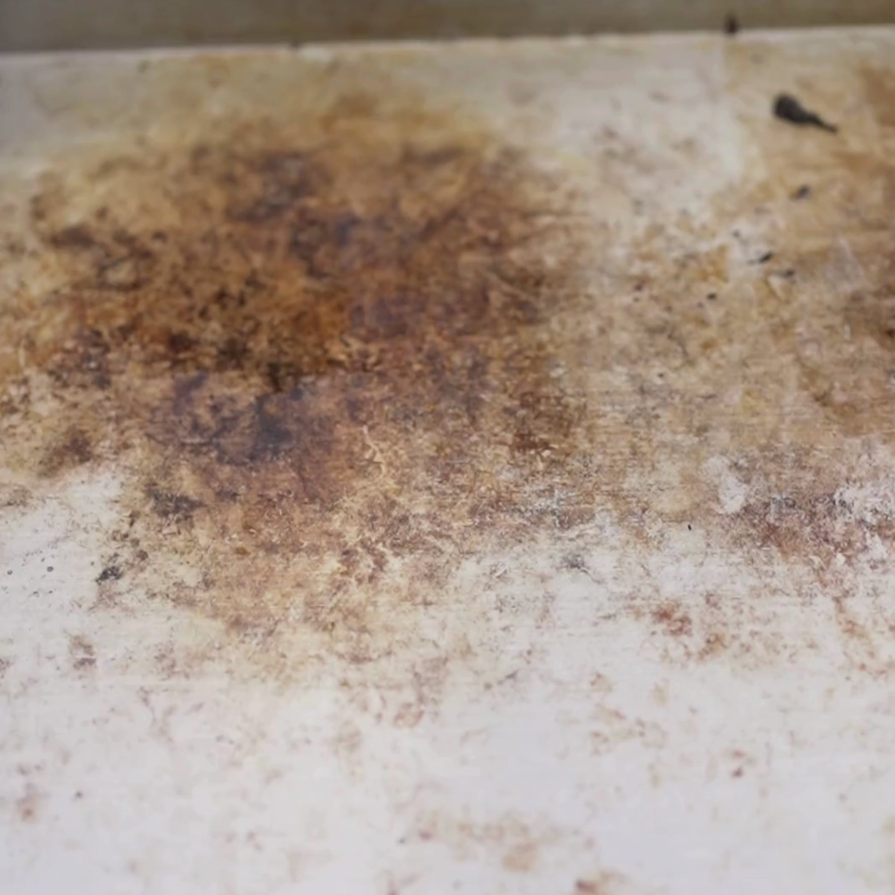 Vidéo montrant le nettoyage d’une plancha vivaplancha avec de l’eau versée sur la plaque chaude, puis raclée à la spatule.